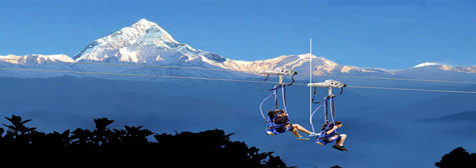 Zip Flyer